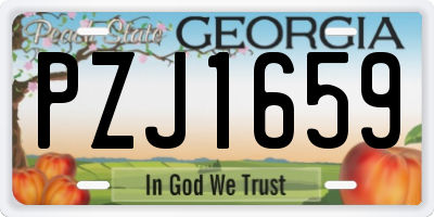 GA license plate PZJ1659