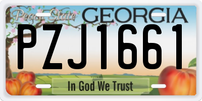GA license plate PZJ1661