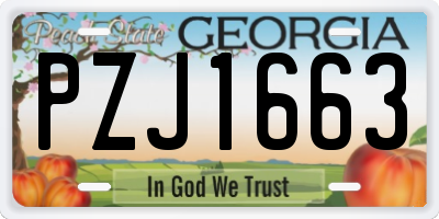 GA license plate PZJ1663