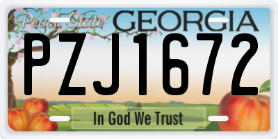 GA license plate PZJ1672