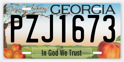 GA license plate PZJ1673