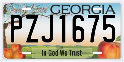 GA license plate PZJ1675