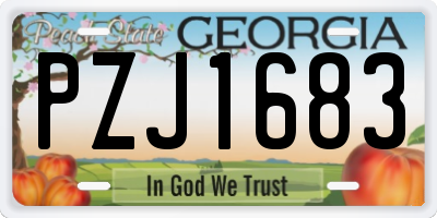GA license plate PZJ1683