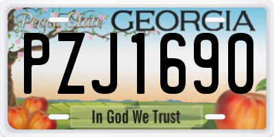 GA license plate PZJ1690