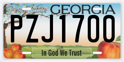 GA license plate PZJ1700