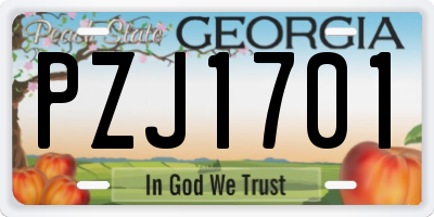 GA license plate PZJ1701