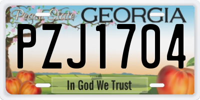 GA license plate PZJ1704