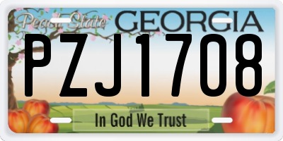 GA license plate PZJ1708