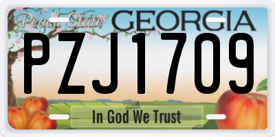 GA license plate PZJ1709