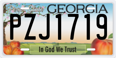 GA license plate PZJ1719