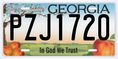GA license plate PZJ1720