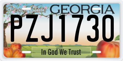 GA license plate PZJ1730