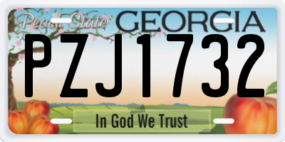 GA license plate PZJ1732