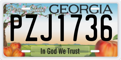 GA license plate PZJ1736