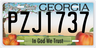 GA license plate PZJ1737