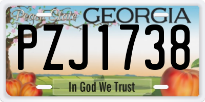 GA license plate PZJ1738