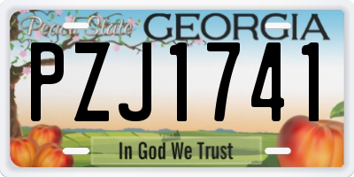 GA license plate PZJ1741