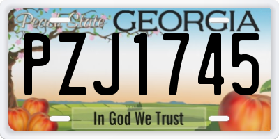 GA license plate PZJ1745