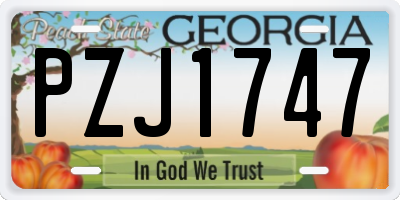 GA license plate PZJ1747