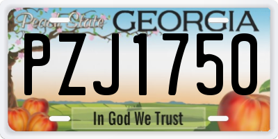 GA license plate PZJ1750