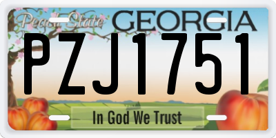 GA license plate PZJ1751