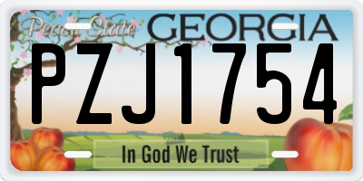 GA license plate PZJ1754