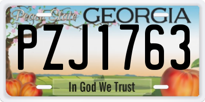 GA license plate PZJ1763