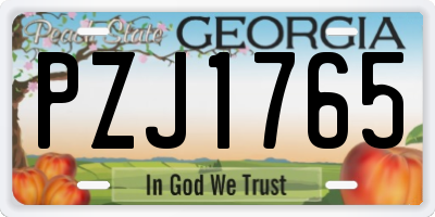 GA license plate PZJ1765