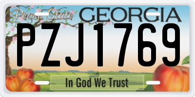 GA license plate PZJ1769