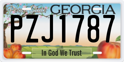 GA license plate PZJ1787
