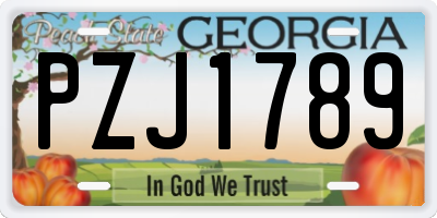 GA license plate PZJ1789