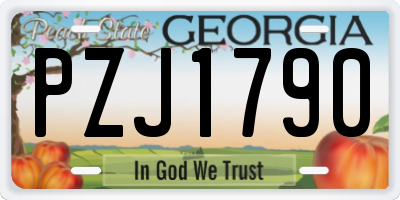 GA license plate PZJ1790