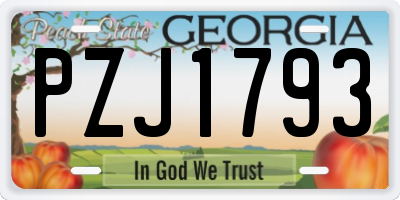 GA license plate PZJ1793