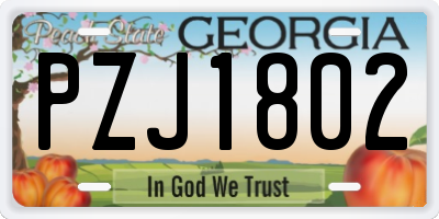 GA license plate PZJ1802