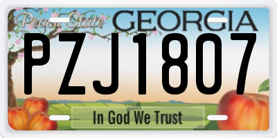 GA license plate PZJ1807