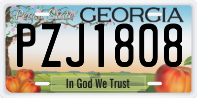 GA license plate PZJ1808