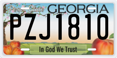 GA license plate PZJ1810