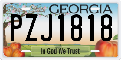 GA license plate PZJ1818