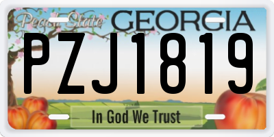 GA license plate PZJ1819