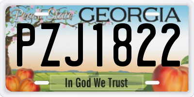 GA license plate PZJ1822