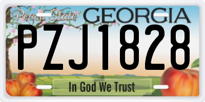 GA license plate PZJ1828