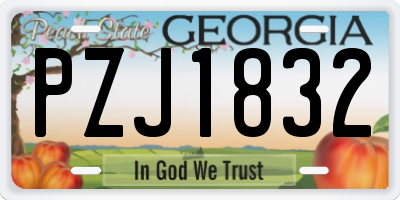 GA license plate PZJ1832