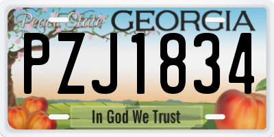 GA license plate PZJ1834