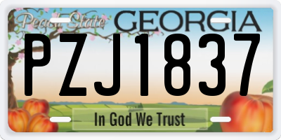 GA license plate PZJ1837