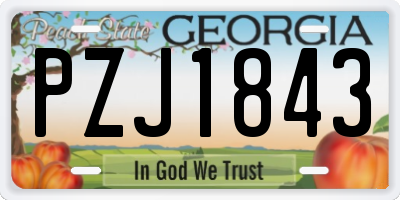 GA license plate PZJ1843