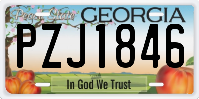 GA license plate PZJ1846