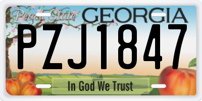 GA license plate PZJ1847