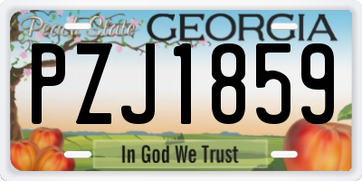 GA license plate PZJ1859