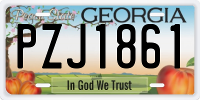GA license plate PZJ1861