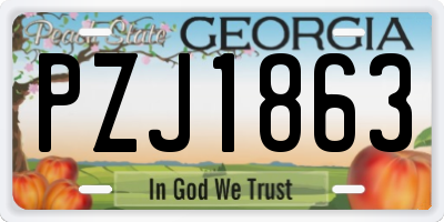 GA license plate PZJ1863